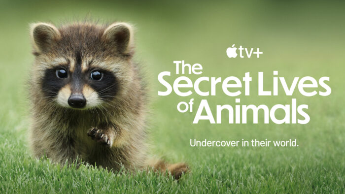 Apple TV+ unveils trailer for a stunning nature docuseries