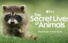 Apple TV+ unveils trailer for a stunning nature docuseries