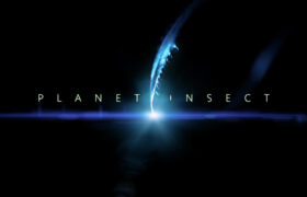 Planet Insect - the testing circumstances of Natural History production during the COVID-19 pandemic