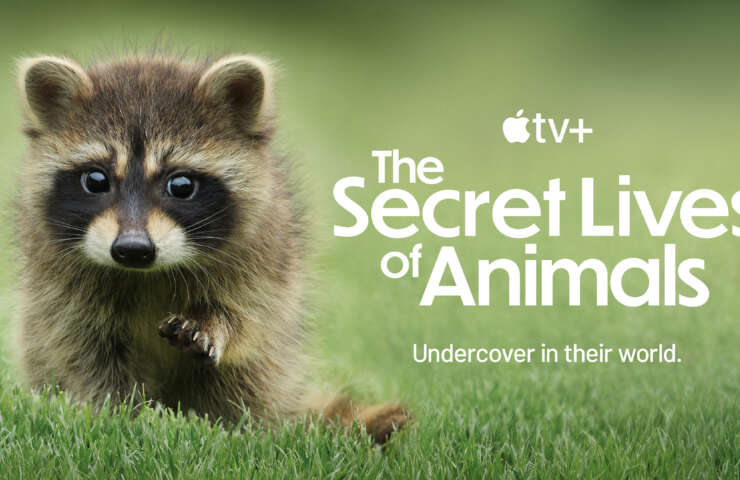 120324 The Secret Lives of Animals Big Image 01