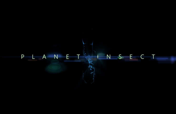 Planet insect 01