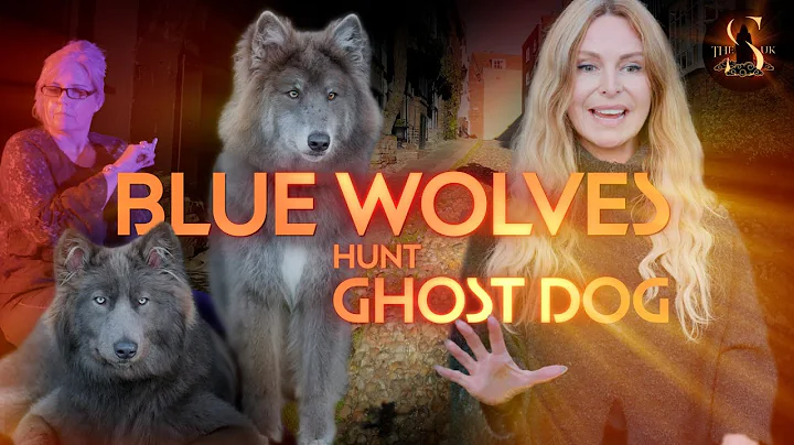 Ghost Dog: Of the Rye Inn